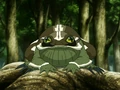 Badgerfrog.png