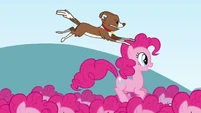 Winona jumping on Pinkie clone's head S3E03