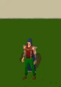 Defence Emote.gif
