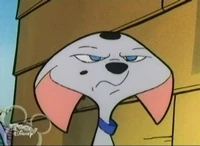 Grumpy