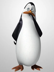 Kowalski 2