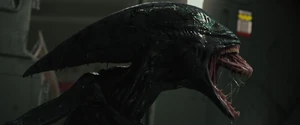 Normal prometheus-bluray-1131