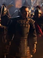 Film - Zhao.png