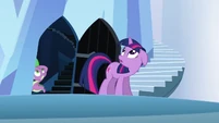 Twilight and Spike looking up at the tower S3E2