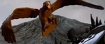 Rings Eagle