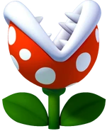 Baby Piranha Plant