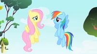 Rainbow Dash and Fluttershy are speechless S1E25