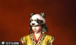Dwvs-trial-costume