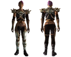 Metal master armor female