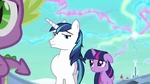 Shining Armor 'Starting to get embarrassing' S3E2