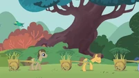 Plant team transporting rakes S1E11