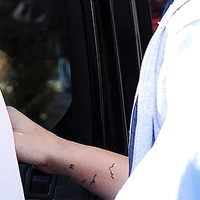 Louis birds
