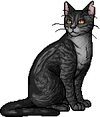 Webfoot.warrior