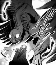 Jabberwock Transfer