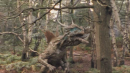 3x7dracorexInMedieval