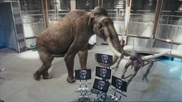 2x6mammothKillsFuturePredator