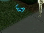 Jellybeancat