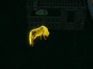 Transmutedhorse