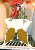 Herbert Chicken.png (32 KB) Herbert Chicken