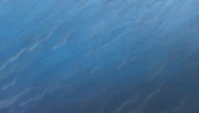 Cellular Snake Division underwater