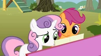 Sweetie Belle reading Scootaloo's lyrics S01E18