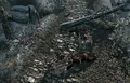 Ambushed Khajiit Caravan.png