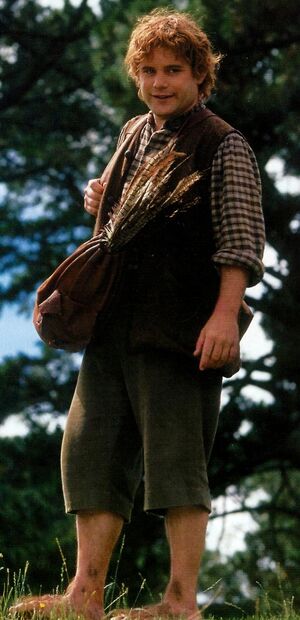 Samwise gamyi 01