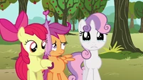 Sweetie Belle about to break into tears S3E04