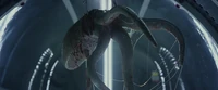 Prometheus-bluray-0776