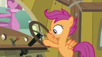 Scootaloo on the steering wheel S3E4