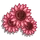 Evening Flower-icon