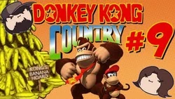 Donkey Kong Country 9