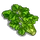 Parsley-icon