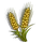 Durum Wheat-icon