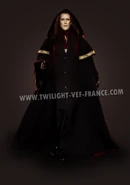 Marcus Volturi