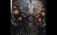 Leviathan face