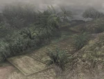 Nan Zhong 5 (DW5)