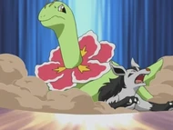EH11 Meganium de casey usando golpe cuerpo
