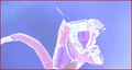 DefensewinsSpiritBomb