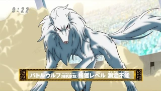 Battle Wolf Anime