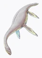 433px-Cryptoclidus1DB.jpg