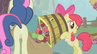 Apple Bloom dumps apples in Sweetie Drops's bag S01E12
