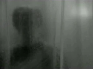Showertrick