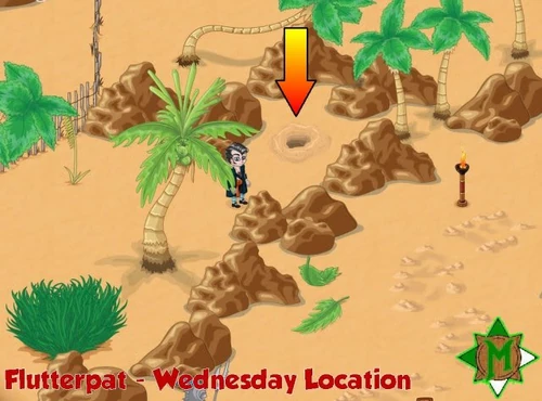 Flutterpatlocation3