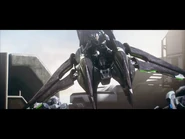 Thorne Boarding Banshee