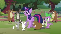 Fluttershy's animals surrounding Twilight S3E05