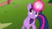 Twilight directing the animals S3E05