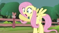 Fluttershy 'Stop!' S3E05