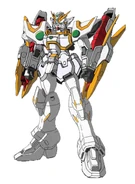 Xxxg-01st