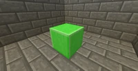 Lime Construction Foam